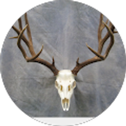 Profile photo of Jami Carr