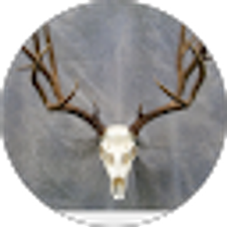 Profile photo of Jami Carr