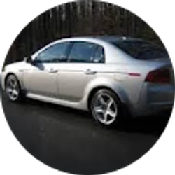 Profile photo of Dave Gesualdo