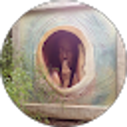 Profile photo of Alice Adler