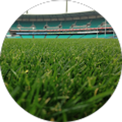 Profile photo of Gabriel Cruz