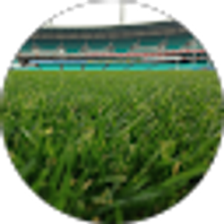 Profile photo of Gabriel Cruz