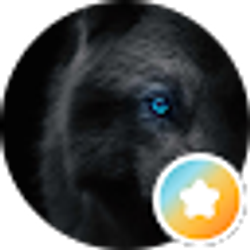 Profile photo of Anthony Ramoz