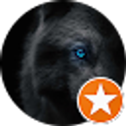 Profile photo of Anthony Ramoz