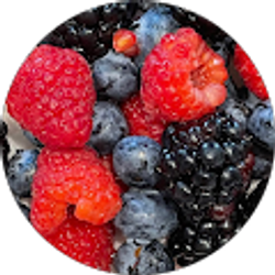 Profile photo of gabriella sarnaglia