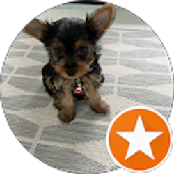 Profile photo of L Mar