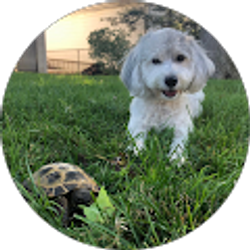 Profile photo of Lauren Mellinger