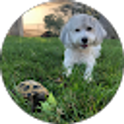 Profile photo of Lauren Mellinger