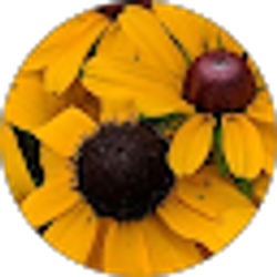 Profile photo of Random Person online