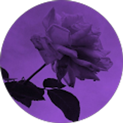 Profile photo of Magaly Dejesus