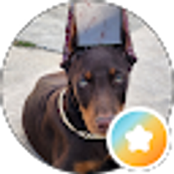 Profile photo of Luis C