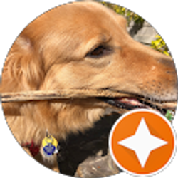 Profile photo of Robert Fickjr