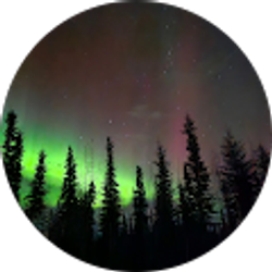 Profile photo of Cassie Reeder