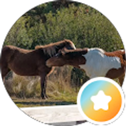 Profile photo of Karl Tate