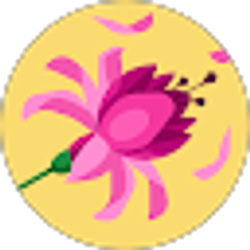 Profile photo of Sharon Mihalsky