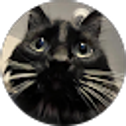 Profile photo of Amelia Hardy