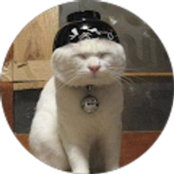 Profile photo of Christopher Sparacino