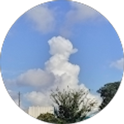 Profile photo of Paige Barnes