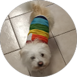 Profile photo of selene garcia