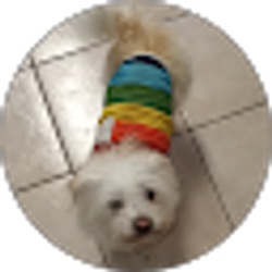 Profile photo of selene garcia