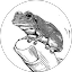 Profile photo of Blake