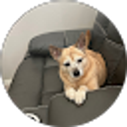 Profile photo of Tyler Shaw