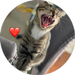 Profile photo of chiara mcclure