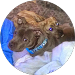 Profile photo of Julie Valkuchak