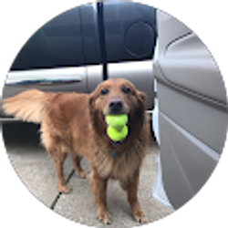 Profile photo of Tammy Speiran