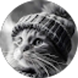 Profile photo of Dana Holloway