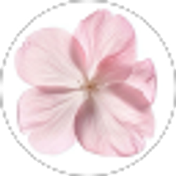 Profile photo of Aynecia G.