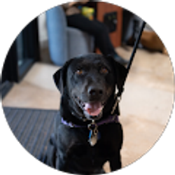 Profile photo of Susie Regnier