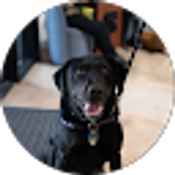 Profile photo of Susie Regnier