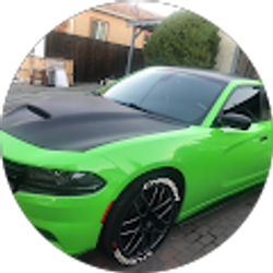 Profile photo of Marylu Solis Cabello