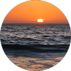 Profile photo of Karyn Herndon