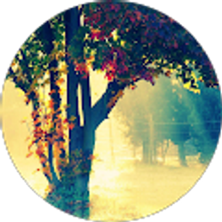 Profile photo of Adriana Lara