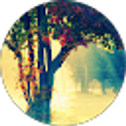 Profile photo of Adriana Lara