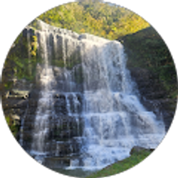 Profile photo of Amanda S