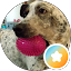 Profile photo of Rae Rae Mania!!