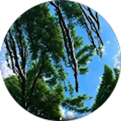 Profile photo of Walter