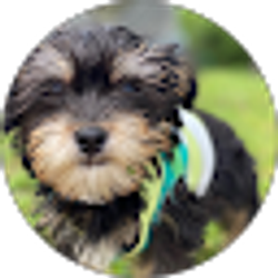 Profile photo of Katey Bonilla