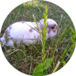 Profile photo of Jennifer Mota