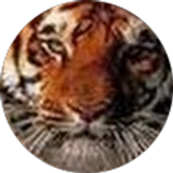 Profile photo of TheChoice84