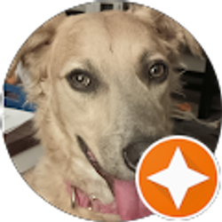 Profile photo of Judy Granata