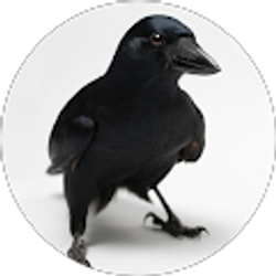 Profile photo of Dave Ogilvie