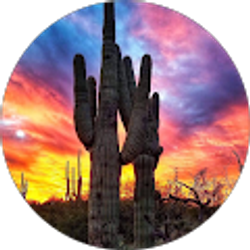 Profile photo of Yvonne O.