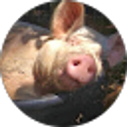 Profile photo of Jennifer Grubbs