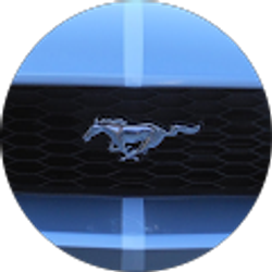 Profile photo of MARC B