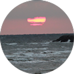 Profile photo of cob palmer