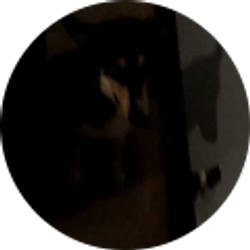 Profile photo of Dane Swearengin